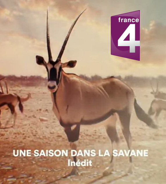 SaisonSavane