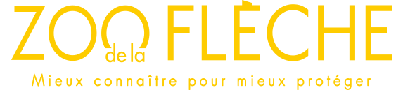 Logo zoo