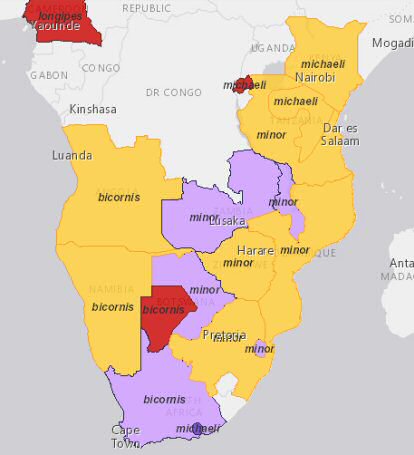 map-rhino