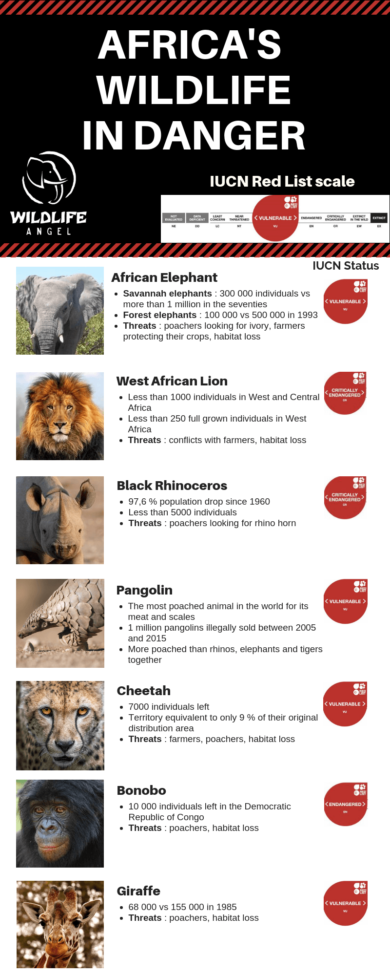 Endangered Africa's Wildlife