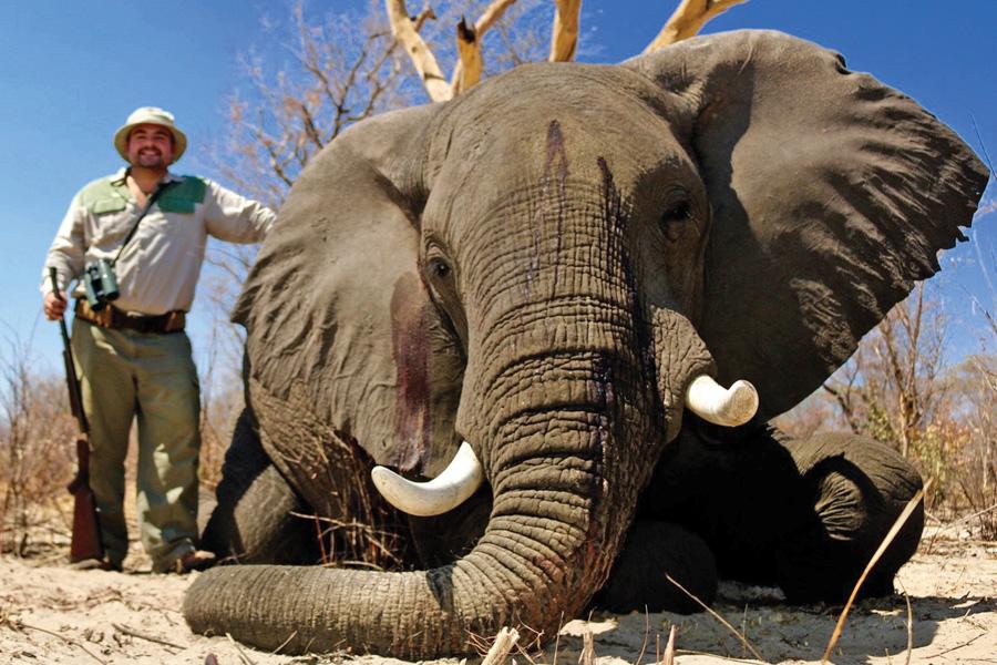 elephant-trophy-hunting