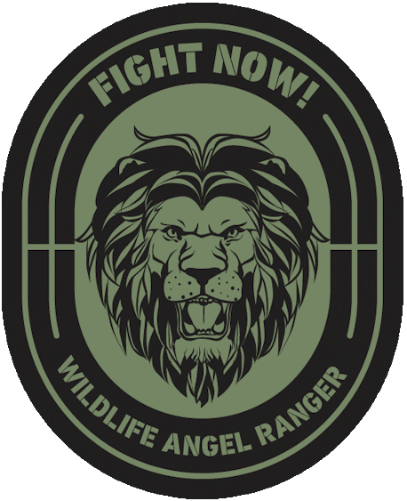 Lion Fight now trans